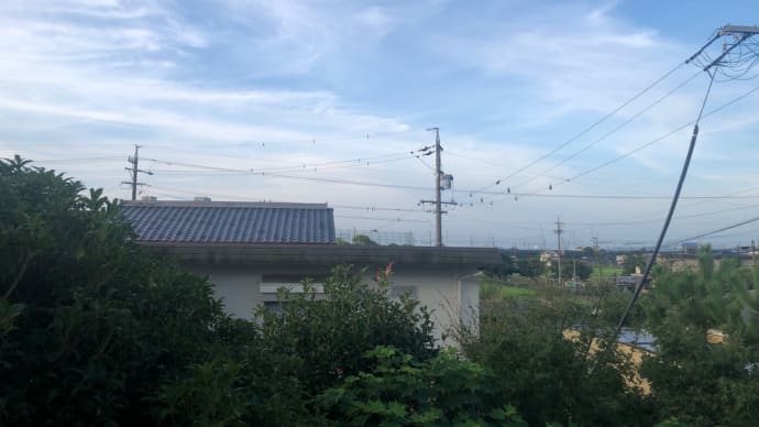 晴れてますが