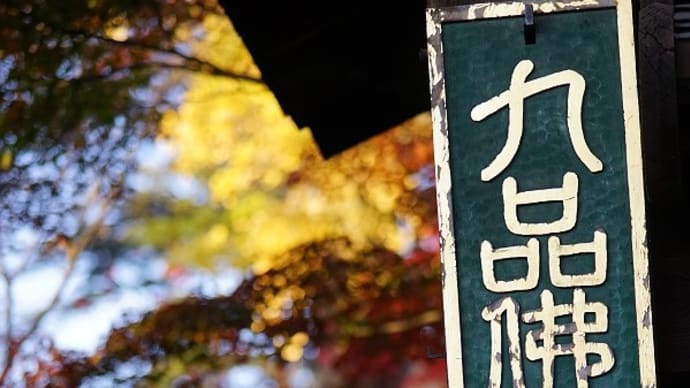 九品仏(浄真寺)の紅葉 その2(慌てて撮った後半数分)