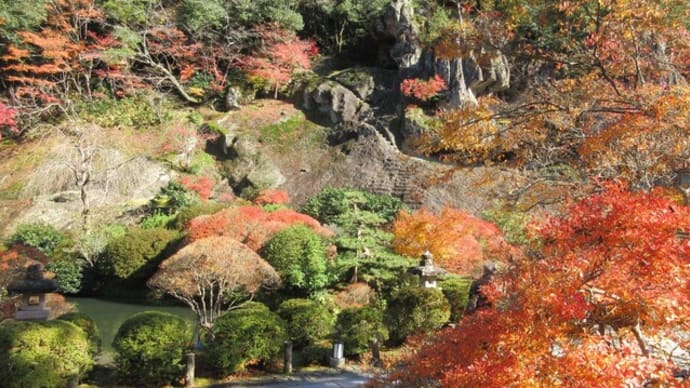 ★燃えるような紅葉の那谷寺　青空に映える冠雪の白山