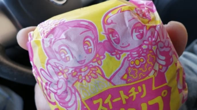 クーポン最終日だったので