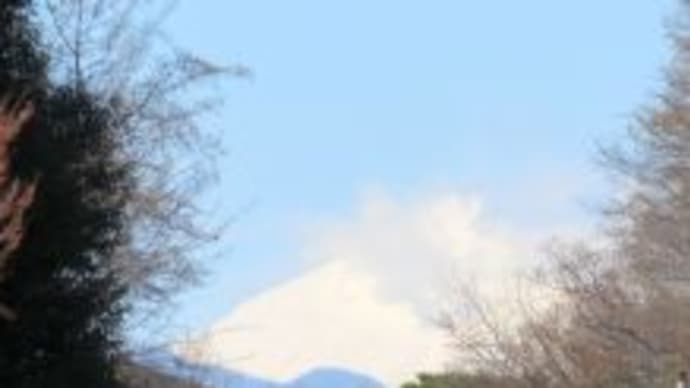 井の頭自然文化園詣 ミキサーと別れた後