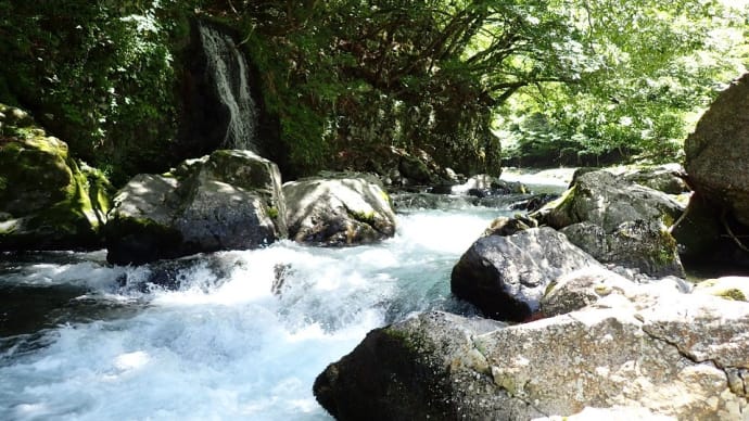 やっぱり新緑快晴の渓流は最高だ