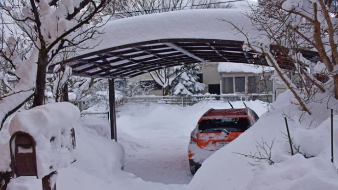 秋田市のドカ雪(2021年1月9日)