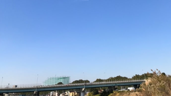 普通の日常が戻って来ました🍀