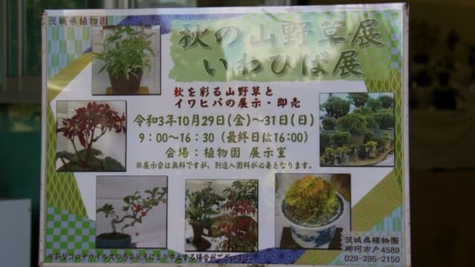 茨城県立植物園(2021年‐2)