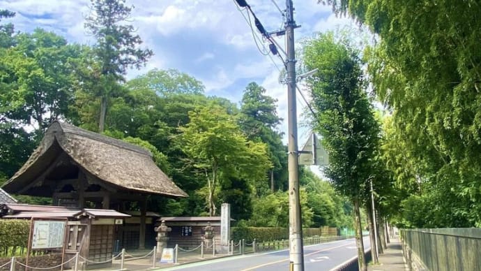 \世界は美しいもので出来ている/