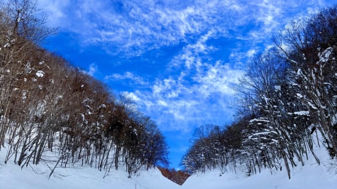 ほうだいぎスキー場 犬と水上winter