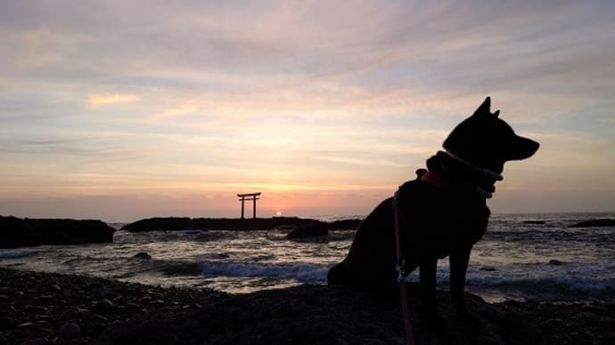 神磯の鳥居 日の出