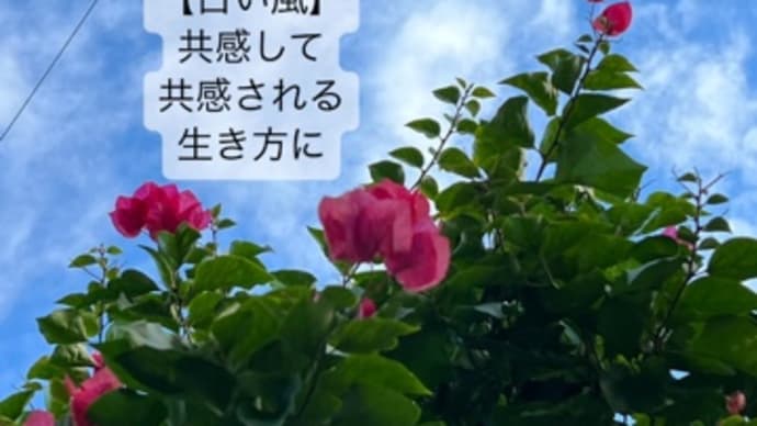 〜K234 白い魔法使い・白い風・音13〜 「青い猿」さんとハコニワへ