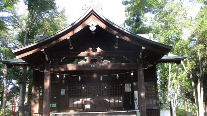 浅間神社の木陰が本当に気持ちいい富士森公園(2020年8月14日)