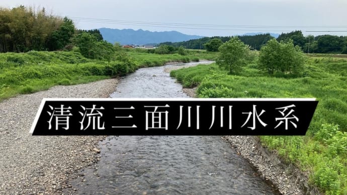 2025.5.26 天然遡上清流三面川水系