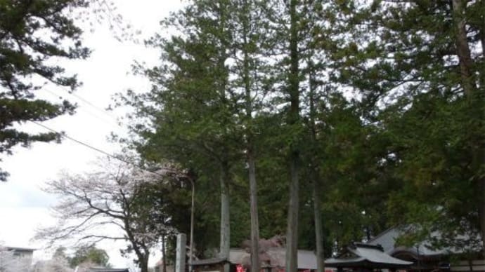 日本考古学発祥の地　3社寺巡り　２０２２/４