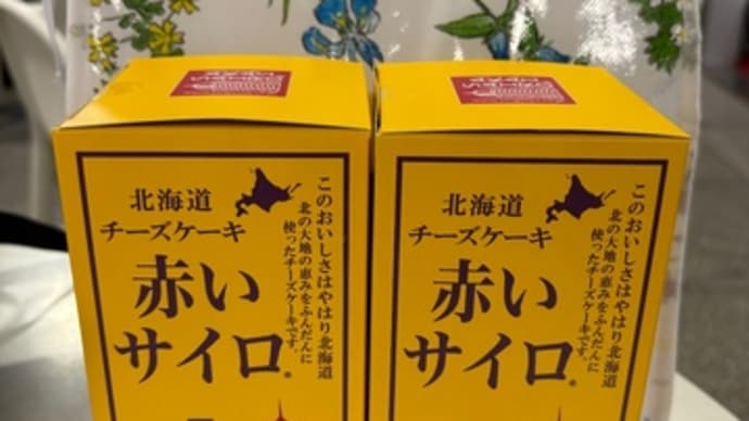 まさかの新千歳空港で足止め(-"-;)