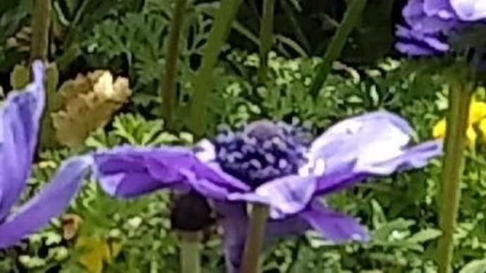 花冷え神戸教室