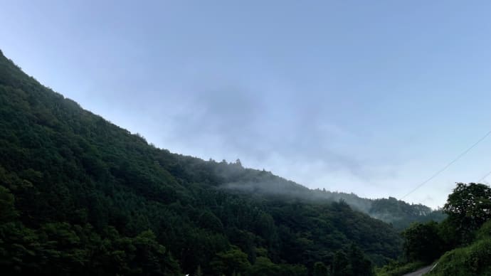 今日の風景