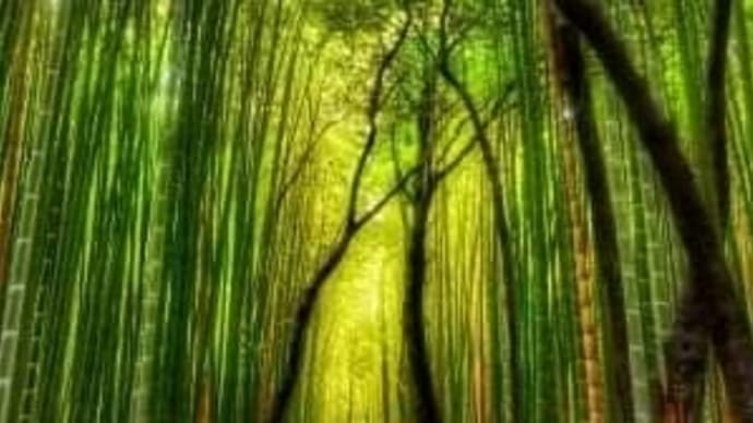 破竹の勢い