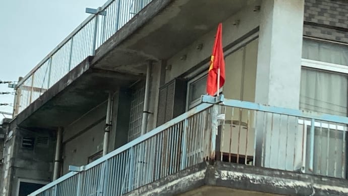 コロナから復帰