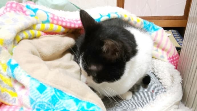 降ったわ