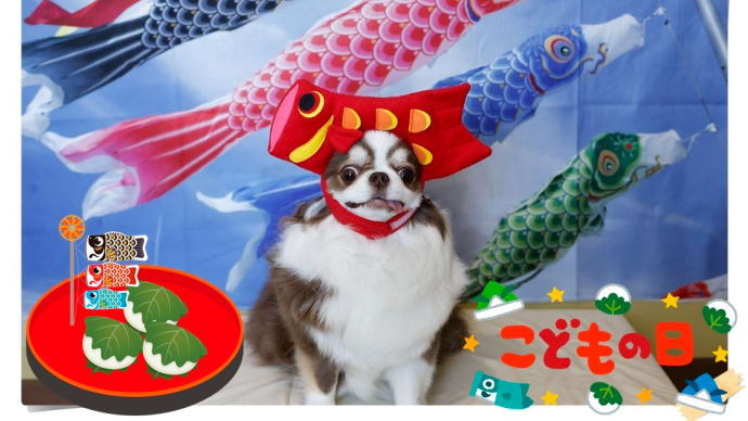 2025年こどもの日🎏その2