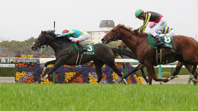 【予想】 第71回 毎日杯 G3