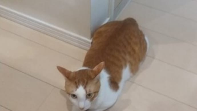 これからも、できるだけ元気で生きよう!!