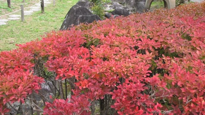 茶筌の里 高山竹林園