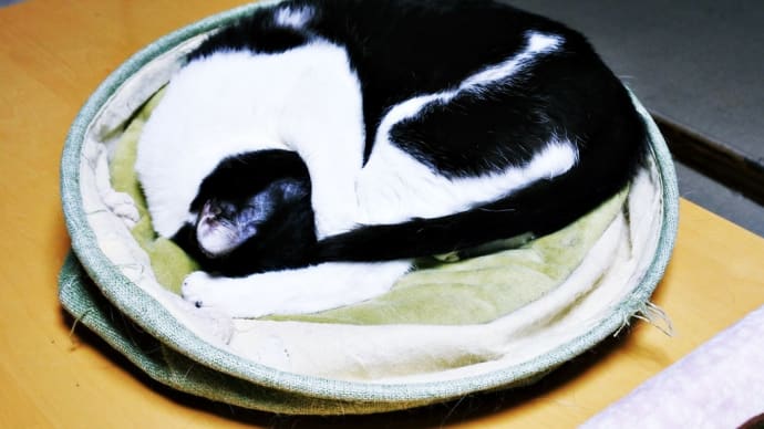 あいちゃく