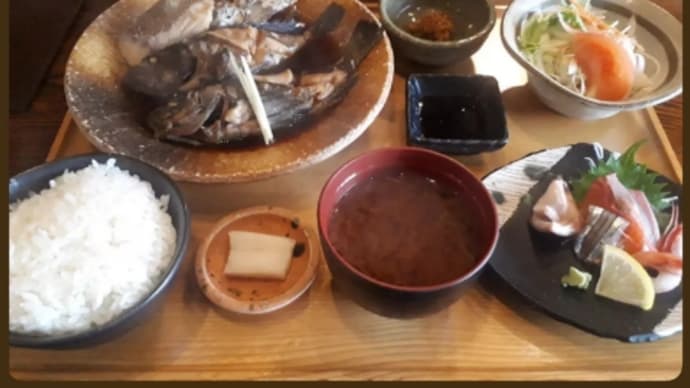 お出かけ御飯とおうち御飯とお弁当