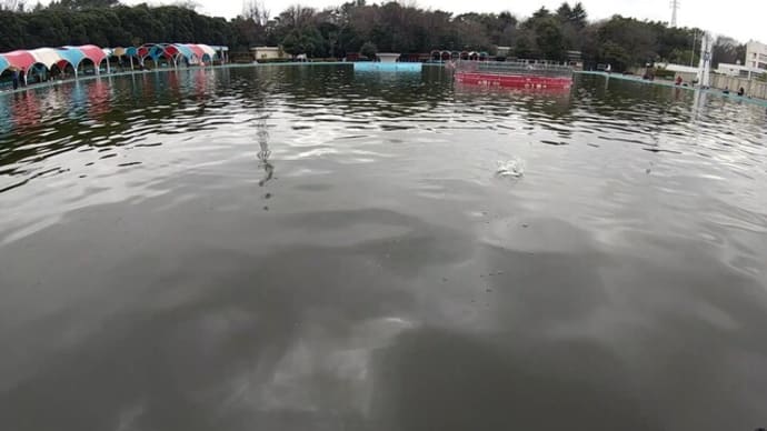 1/10さいたま水上公園釣行