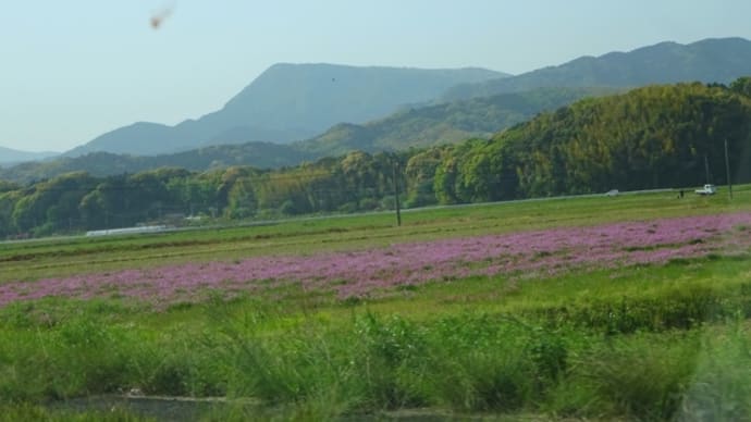 眠れませんでした。4.22.土曜日晴れ