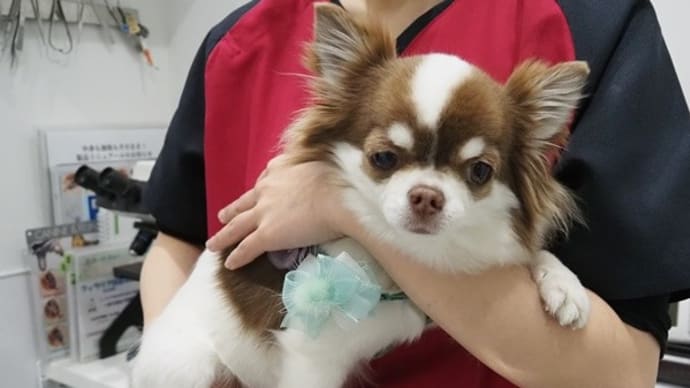 春の健康診断♪