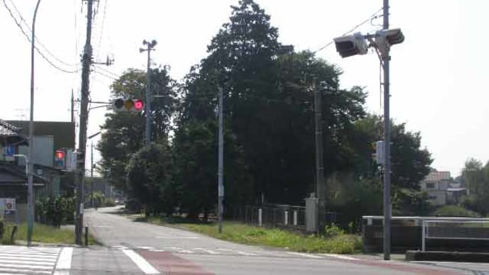 49-7　氷川神社（獅子宮）