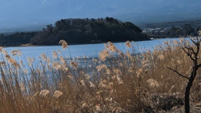 最後の大還元祭