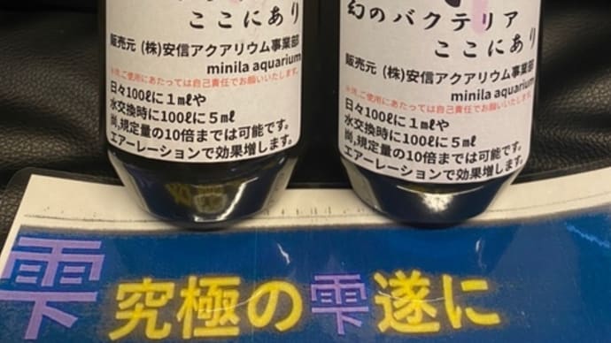 究極のバクテリアがついに登場‼️✨その名も【雫】¥15,000 予約受付中