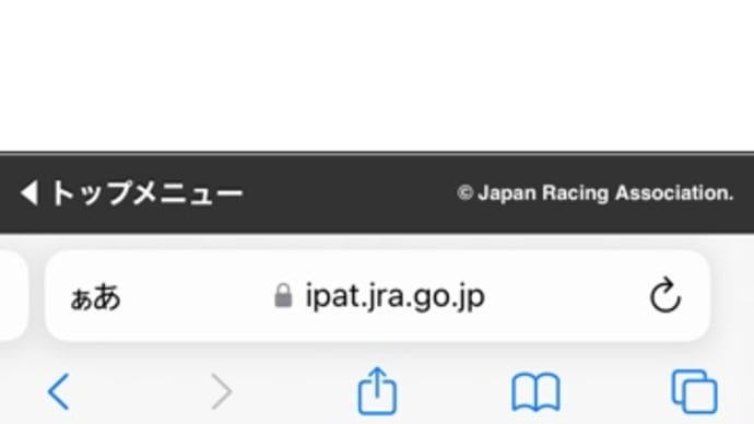 12月28日 今年最後の中央競馬のメインレース