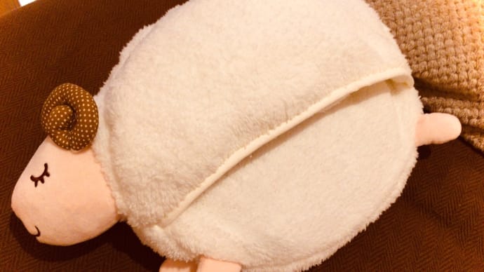この子に新しい名前を…
