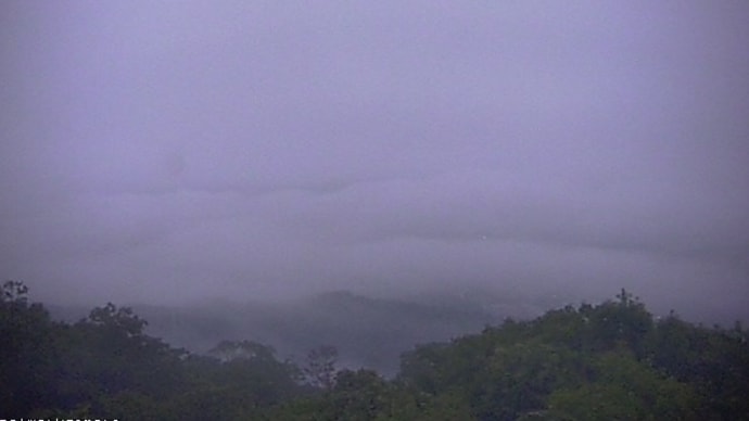 濃霧で霧が高い