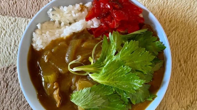 カレーを作りましたinセロリ♪(pq・v・)+°