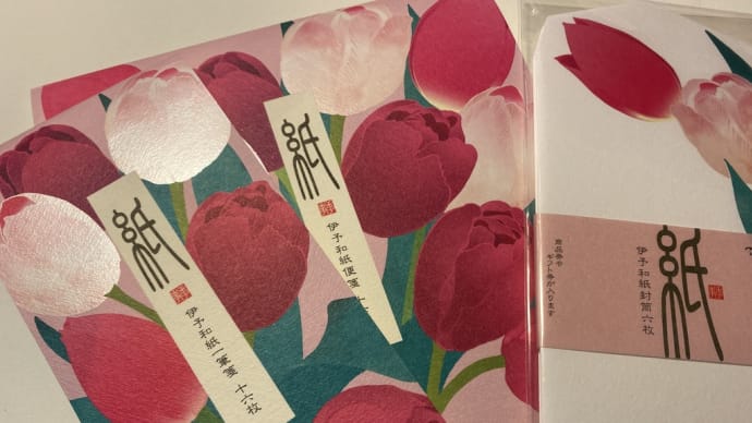 今年度の仕事が終了し、気持ちはもう次へ!〜「2024・主婦日記」の第12週目〜