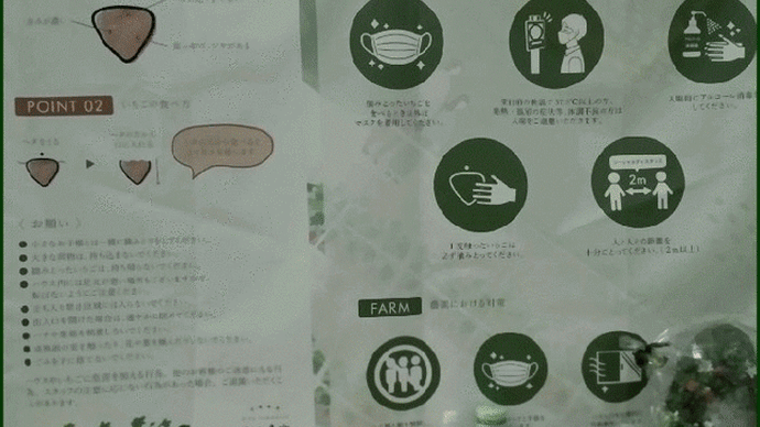 4月6日に家族揃って、予約してあったイチゴ狩りに出かけると・・・