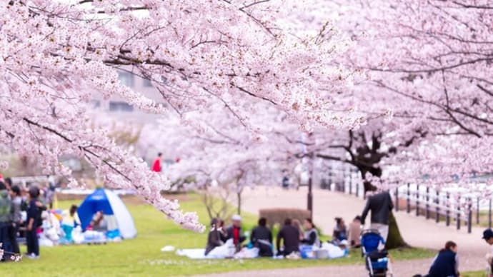 清明節：日本各地では桜を楽しむのに、沖縄だけ祖先を祭る理由とは？（上）