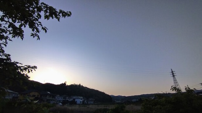 鳥の声が響く朝の空