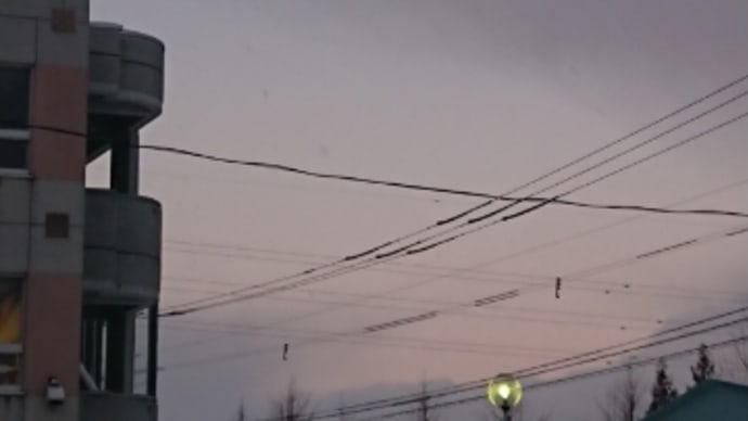 雪かき、無し!やった。