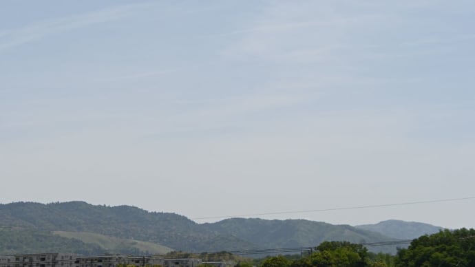 池大雅生誕300年をナツミカンの白い花が