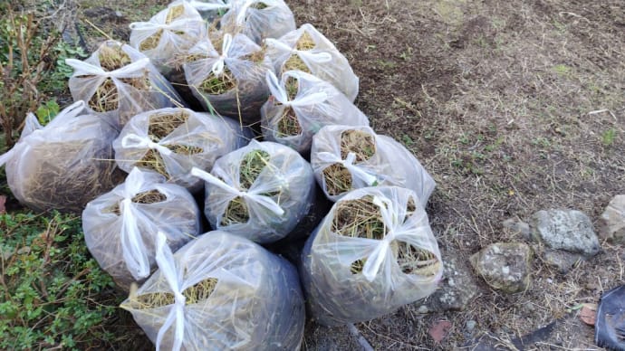 草刈修行