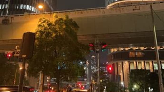 夜の中之島