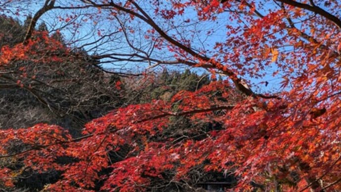 晩秋の鎌北湖