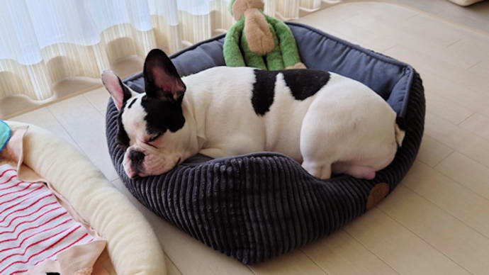 成長具合が良く分かる写真