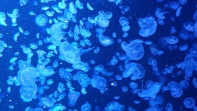 処暑 次候 天地始粛