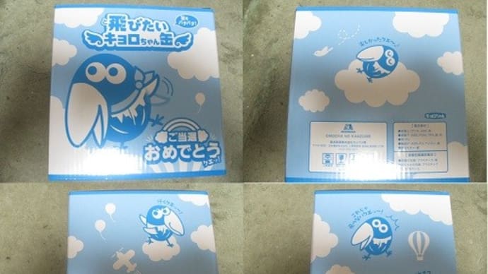 『届いた!飛びたいキョロちゃん缶』